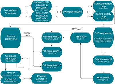 Use of Nanopore Sequencing to Characterise the Genomic Architecture of Mobile Genetic Elements Encoding blaCTX-M-15 in Escherichia coli Causing Travellers’ Diarrhoea